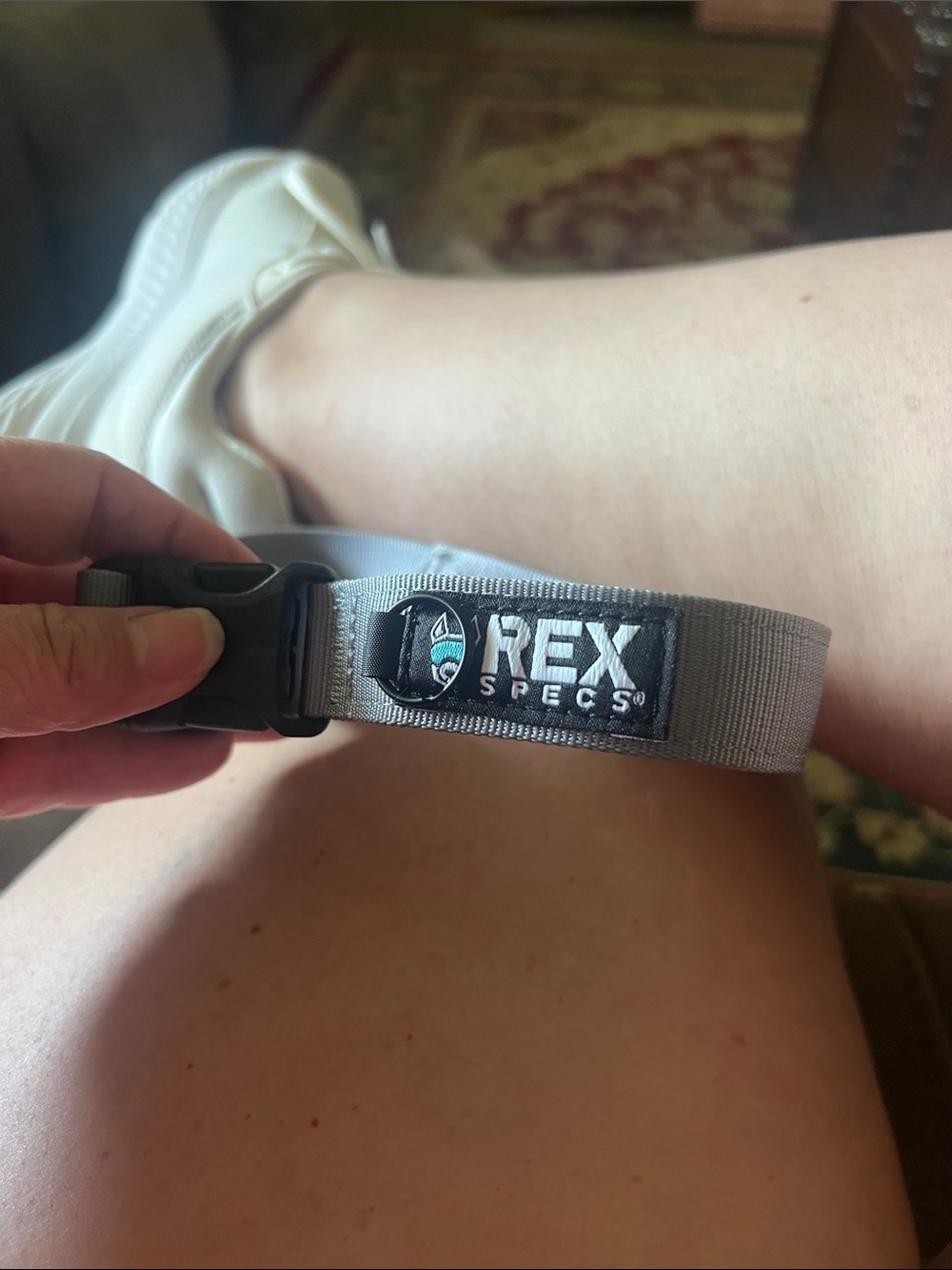 Tactical Gray dog collar